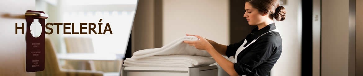 Comprar Productos Químicos de Limpieza para Hostelería | Venta Online
