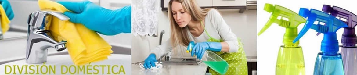 Productos Químicos de Limpieza | para uso Doméstico | Venta Online